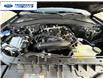 2026 Ford Explorer Tremor (Stk: TGB60852) in Wallaceburg - Image 26 of 26