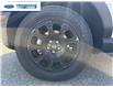 2026 Ford Bronco Sport Badlands (Stk: TRE51714) in Wallaceburg - Image 10 of 25