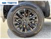 2023 Ford F-150 XLT (Stk: PFC66424T) in Wallaceburg - Image 10 of 25