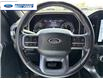 2023 Ford F-150 XLT (Stk: PFC66424T) in Wallaceburg - Image 14 of 25