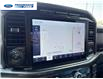2023 Ford F-150 XLT (Stk: PFC66424T) in Wallaceburg - Image 18 of 25