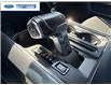 2023 Ford F-150 XLT (Stk: PFC66424T) in Wallaceburg - Image 20 of 25
