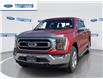 2023 Ford F-150 XLT (Stk: PKE42316T) in Wallaceburg - Image 1 of 25
