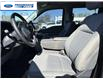 2023 Ford F-150 XLT (Stk: PKE42316T) in Wallaceburg - Image 11 of 25