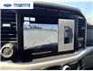 2023 Ford F-150 XLT (Stk: PKE42316T) in Wallaceburg - Image 17 of 25