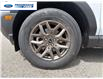 2026 Ford Bronco Sport Big Bend (Stk: TRE51374) in Wallaceburg - Image 10 of 24