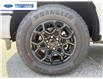 2026 Ford F-150 XLT (Stk: TKE26220) in Wallaceburg - Image 10 of 21