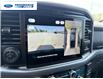 2026 Ford F-150 XLT (Stk: TKE26220) in Wallaceburg - Image 13 of 21