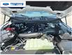 2026 Ford F-150 XLT (Stk: TKE26220) in Wallaceburg - Image 21 of 21