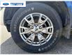 2019 Ford Ranger XLT (Stk: KLA57512T) in Wallaceburg - Image 10 of 25 2019 Ford Ranger XLT (Stk: KLA57512T) in Wallaceburg - Image 10 of 25