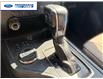 2019 Ford Ranger XLT (Stk: KLA57512T) in Wallaceburg - Image 20 of 25 2019 Ford Ranger XLT (Stk: KLA57512T) in Wallaceburg - Image 20 of 25