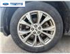 2021 Ford Explorer XLT (Stk: MGA89852T) in Wallaceburg - Image 10 of 22 2021 Ford Explorer XLT (Stk: MGA89852T) in Wallaceburg - Image 10 of 22