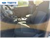 2026 Ford Ranger XLT (Stk: TLE24088) in Wallaceburg - Image 11 of 25