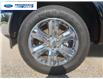 2020 Ford F-150 King Ranch (Stk: LFB02966T) in Wallaceburg - Image 10 of 26