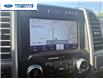 2020 Ford F-150 King Ranch (Stk: LFB02966T) in Wallaceburg - Image 18 of 26
