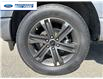 2021 Ford F-150 XLT (Stk: MFB33683T) in Wallaceburg - Image 10 of 24