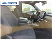 2021 Ford F-150 XLT (Stk: MFB33683T) in Wallaceburg - Image 24 of 24