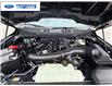 2026 Ford F-150 STX (Stk: TKE19752) in Wallaceburg - Image 24 of 24