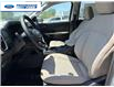 2026 Ford Ranger XLT (Stk: TLE23299) in Wallaceburg - Image 11 of 25