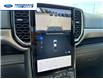 2026 Ford Ranger XLT (Stk: TLE23299) in Wallaceburg - Image 17 of 25