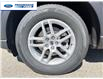 2026 Ford Explorer Active (Stk: TGB84765) in Wallaceburg - Image 10 of 25