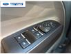 2026 Ford Maverick Tremor (Stk: TRA79784) in Wallaceburg - Image 13 of 24