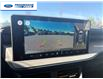 2026 Ford Maverick Tremor (Stk: TRA79784) in Wallaceburg - Image 17 of 24