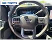 2025 Ford F-350 Lariat (Stk: SED52700A) in Wallaceburg - Image 14 of 25