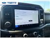 2024 Ford F-150 XLT (Stk: RFC21304L) in Wallaceburg - Image 16 of 25