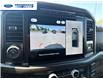2024 Ford F-150 XLT (Stk: RFC21304L) in Wallaceburg - Image 17 of 25