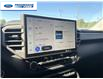 2024 Toyota Tundra Hybrid Limited (Stk: RX050748T) in Wallaceburg - Image 16 of 25