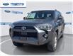 2023 Toyota 4Runner Base (Stk: P6198191T) in Wallaceburg - Image 1 of 24