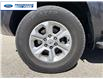 2023 Toyota 4Runner Base (Stk: P6198191T) in Wallaceburg - Image 10 of 24