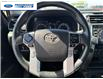 2023 Toyota 4Runner Base (Stk: P6198191T) in Wallaceburg - Image 14 of 24