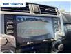 2023 Toyota 4Runner Base (Stk: P6198191T) in Wallaceburg - Image 17 of 24