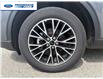 2025 Ford Escape PHEV (Stk: SUB06103) in Wallaceburg - Image 2 of 17
