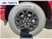 2026 Ford F-150 XLT (Stk: TKE21224) in Wallaceburg - Image 10 of 25 2026 Ford F-150 XLT (Stk: TKE21224) in Wallaceburg - Image 10 of 25