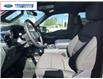 2026 Ford F-150 XLT (Stk: TKE21224) in Wallaceburg - Image 11 of 25 2026 Ford F-150 XLT (Stk: TKE21224) in Wallaceburg - Image 11 of 25