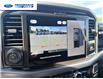 2026 Ford F-150 XLT (Stk: TKE21224) in Wallaceburg - Image 17 of 25 2026 Ford F-150 XLT (Stk: TKE21224) in Wallaceburg - Image 17 of 25