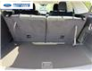 2026 Ford Explorer Active (Stk: TGB84926) in Wallaceburg - Image 24 of 26