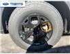 2026 Ford Explorer Tremor (Stk: TGC07444) in Wallaceburg - Image 10 of 26