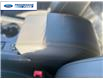 2026 Ford Explorer Tremor (Stk: TGC07444) in Wallaceburg - Image 21 of 26