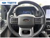 2024 Ford F-150 Lariat (Stk: RFB14925) in Wallaceburg - Image 14 of 25