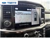 2024 Ford F-150 Lariat (Stk: RFB14925) in Wallaceburg - Image 17 of 25
