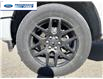 2024 Ford F-150 STX (Stk: RKD37038) in Wallaceburg - Image 10 of 24