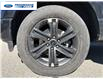 2021 Ford F-150 Lariat (Stk: MFB97579T) in Wallaceburg - Image 10 of 25