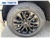 2026 Ford F-150 XLT (Stk: TFB55414) in Wallaceburg - Image 10 of 25