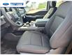 2026 Ford F-150 XLT (Stk: TFB55414) in Wallaceburg - Image 11 of 25
