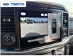 2026 Ford F-150 XLT (Stk: TFB55414) in Wallaceburg - Image 17 of 25