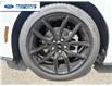2026 Ford Mustang EcoBoost Premium (Stk: T5126234) in Wallaceburg - Image 10 of 25